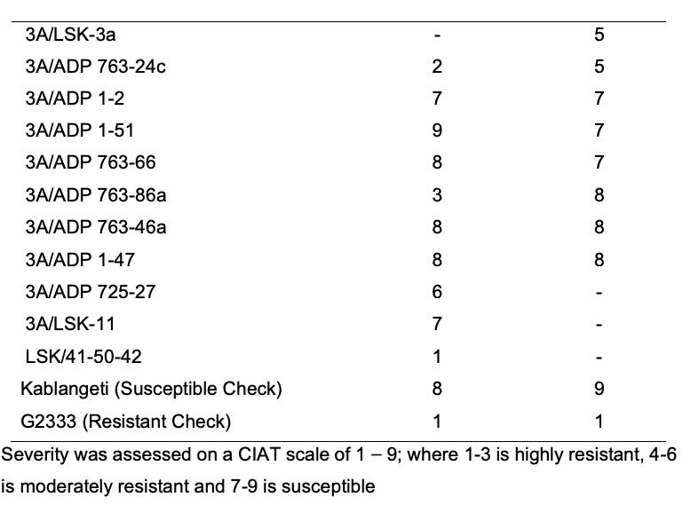 Table 7 - final report (2).png